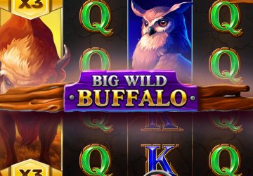 Автомат Big Wild Buffalo в Вулкан Клуб казино